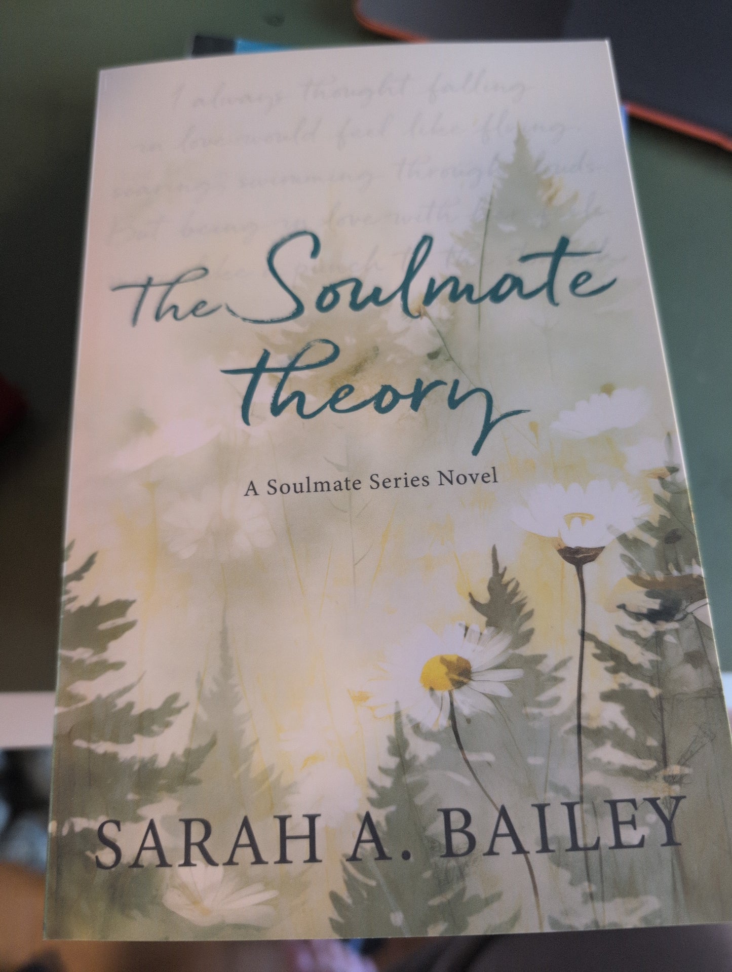 The Soulmate Theory by Sarah A. Bailey